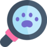 search-icon